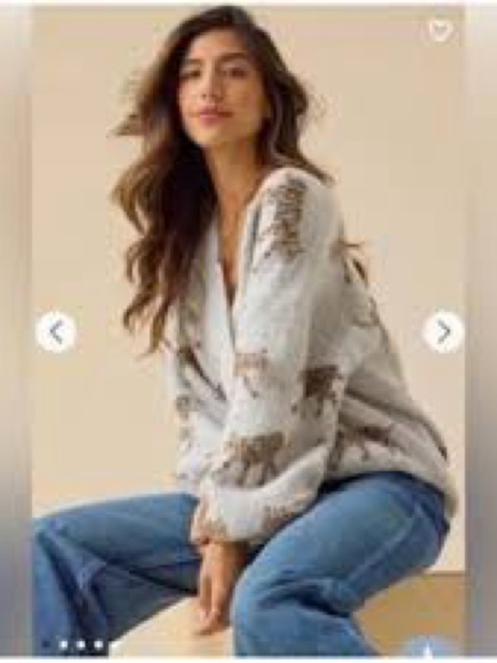 Dreamers Cream Leopard V-Neck Sweater
